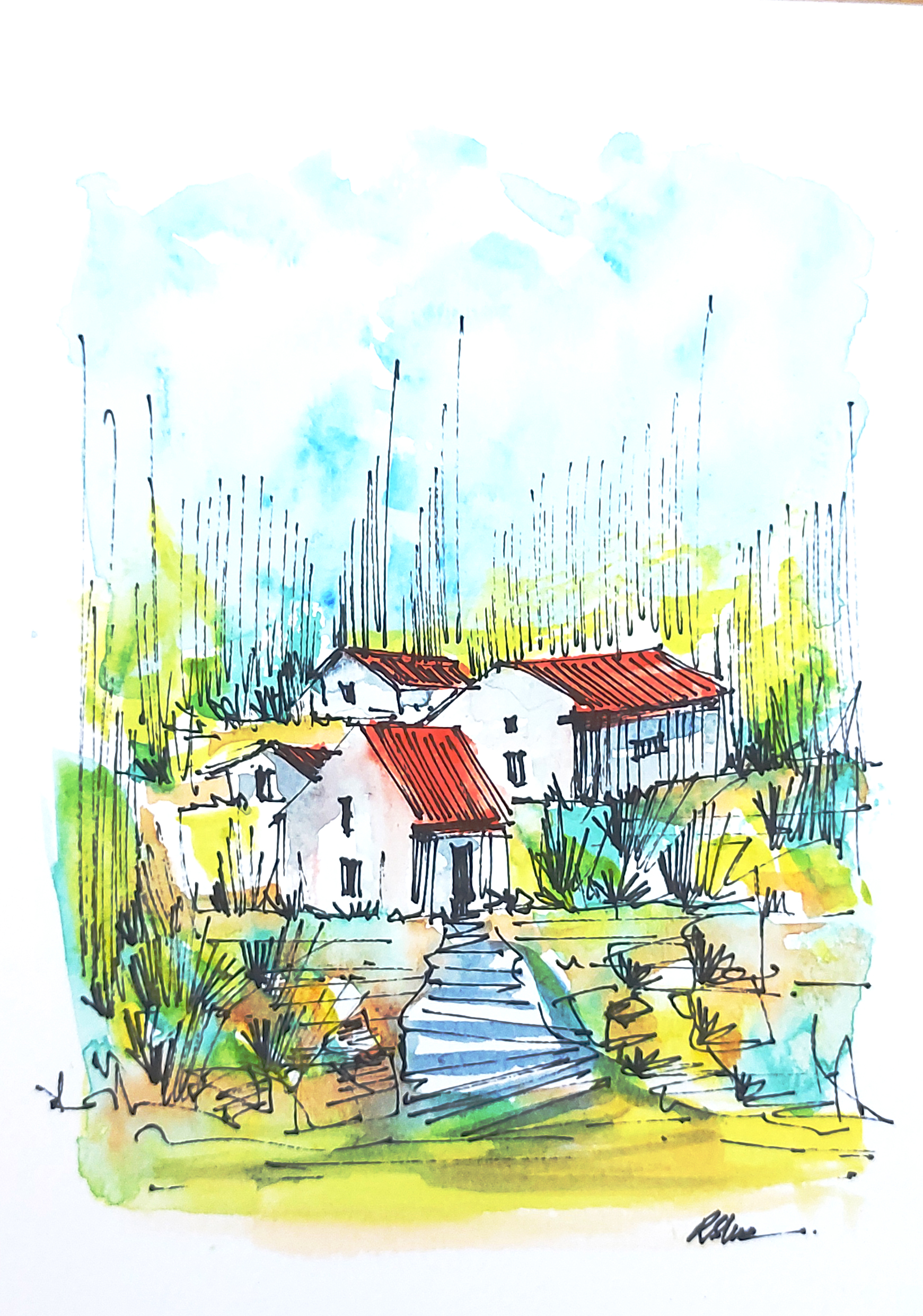Landscape