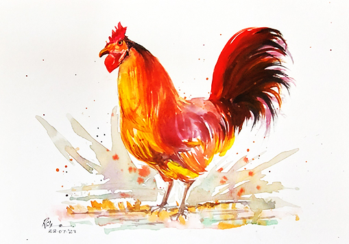 Animal